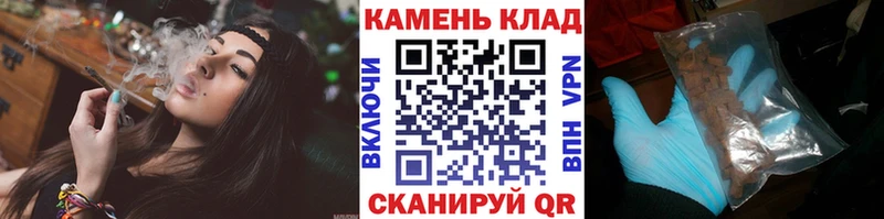 магазин продажи наркотиков  Сясьстрой  ГАШИШ VHQ 