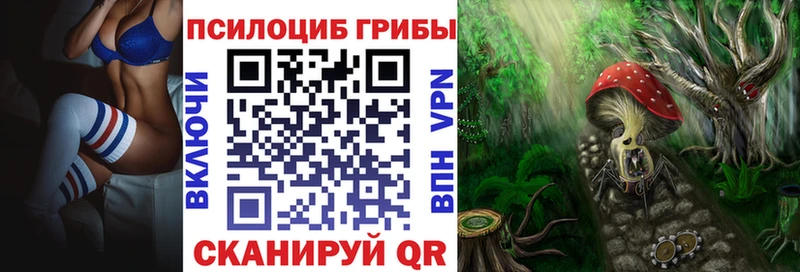 Галлюциногенные грибы Magic Shrooms  мега сайт  Сясьстрой 